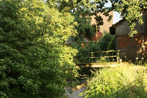 Ilsenbach Ufer des Ilsenbach